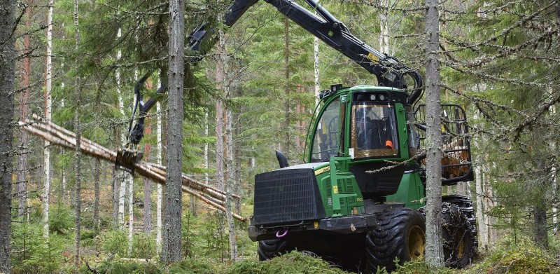 Gallrad betesmark blir omtyckt blandskog
