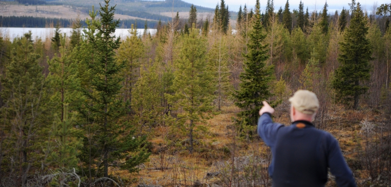 Hälften är nöjda med lönsamheten