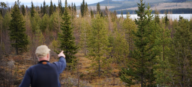 ”Staten kan inte göra markägaren till motståndare”