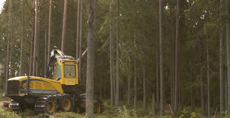 ”Skogsnäringen är inget särintresse”