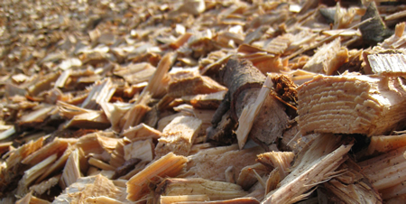 Splittrad prisbild för bioenergi