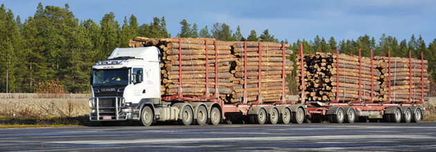 Förarbrist kan drabba skogen