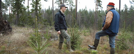 Ge virkesköparen lite motstånd!