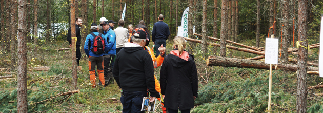 Mallarna följs inte