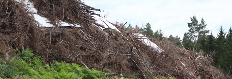 Flexibel hantering av granris ger mer bioenergi