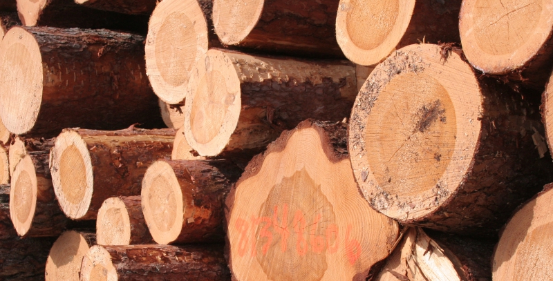 Minskade virkeslager i år