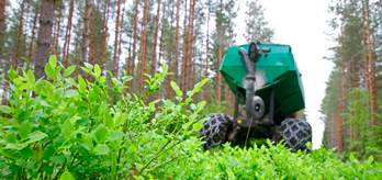 Askåterföring? Det här bör du känna till
