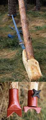 Spännband och piggar får trädet åt rätt håll