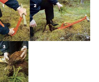 JAS-metodens 11 steg