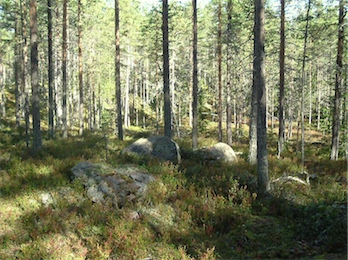 Ingen attitydsskillnad mellan generationerna