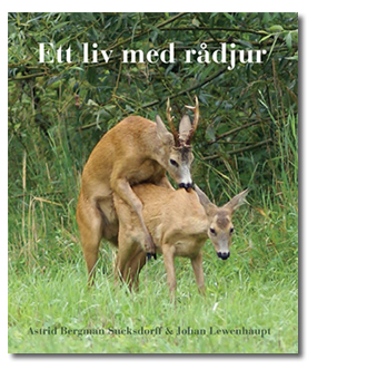 Premiär på bok och bock