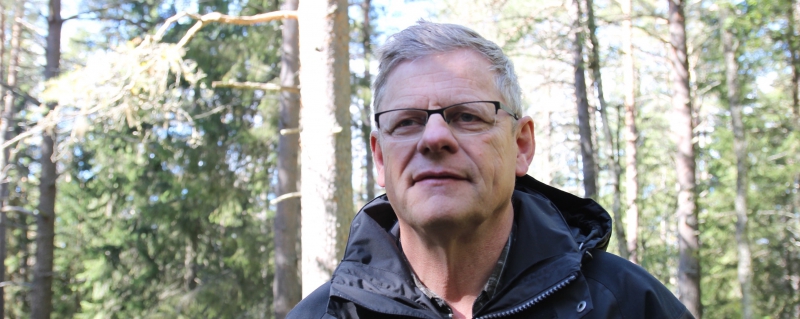 Nätpubliceringar avgörs i rätten