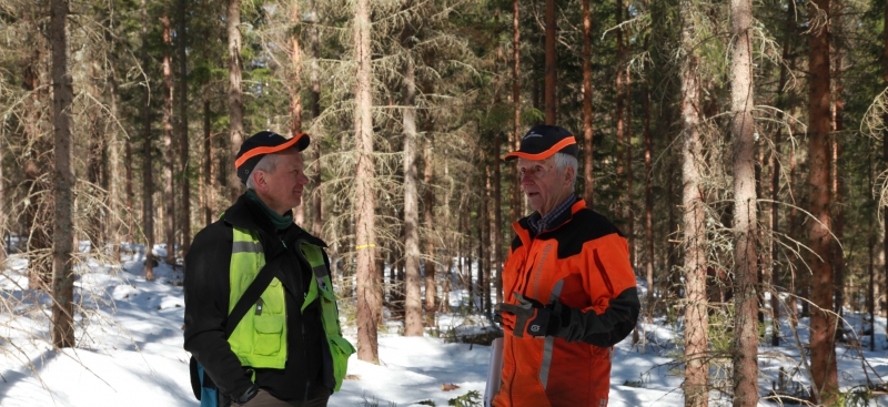 Gallringsuppföljning i Skogspodden