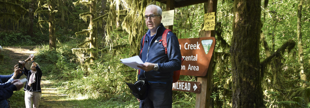 ”Lär av Kanada – såga mer skadat timmer”