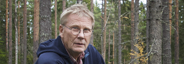 ”Därför bör älgstammen halveras”