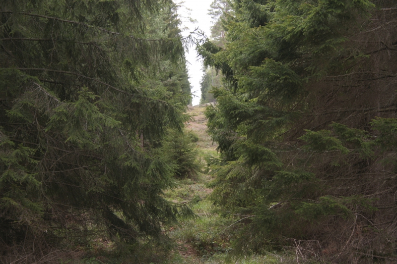 Lantmäteriet, var god dröj!