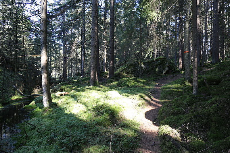 Sök stöd till påhittig naturvård