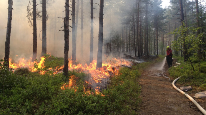 Nu startar bränningssäsongen