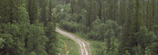 Med koll på skogsvägen
