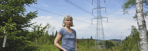 Ny ledning knaprar skog