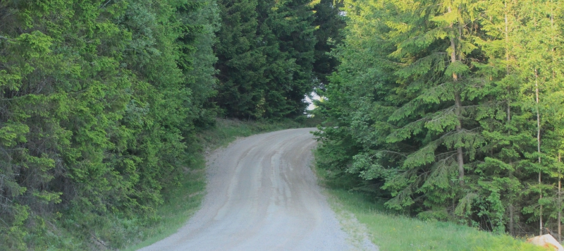 Skogsbilvägar i Götaland inventeras