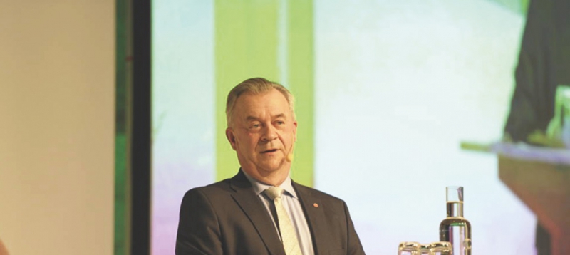 Skymten av ett skogsprogram