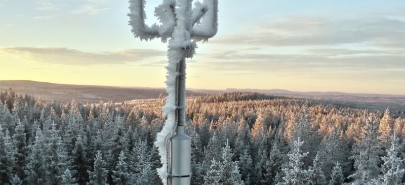 Skogen större kolkälla än väntat