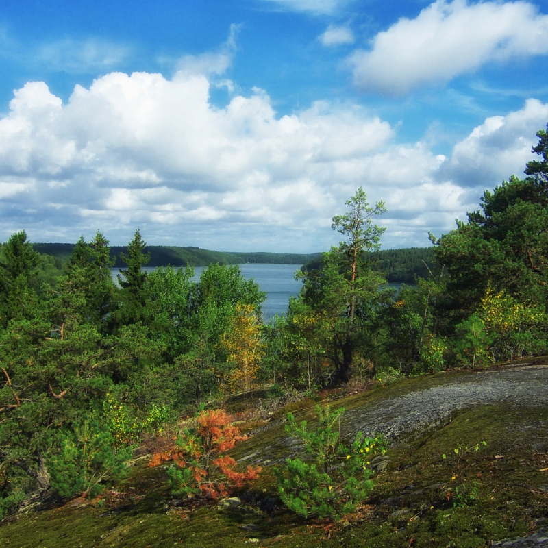 Skogsstyrelsen JO-anmäls