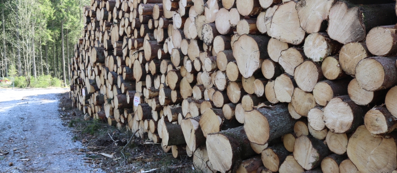 Ovanligt stora virkeslager