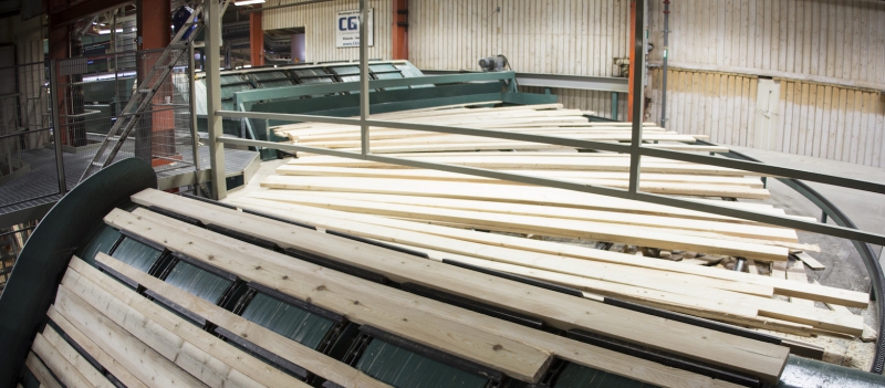 Global virkesmarknad sväljer allt