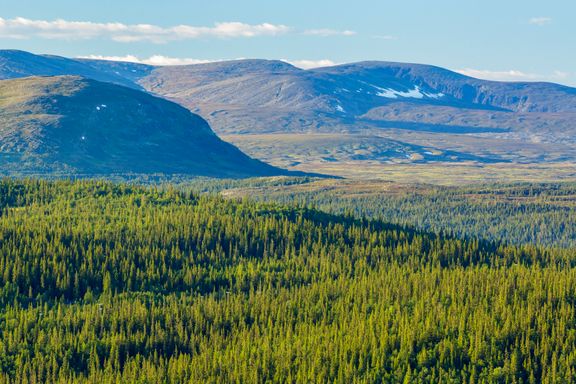 360 miljoner begärs till fjällnära ärenden