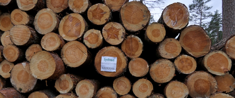 Höjda sågtimmerpriser i hälften av kommunerna