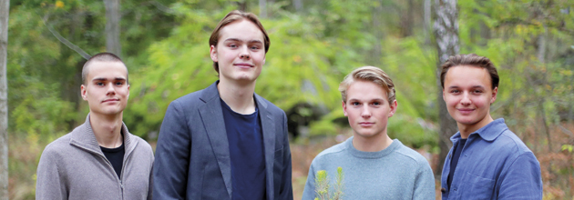Ungt företag sätter träd