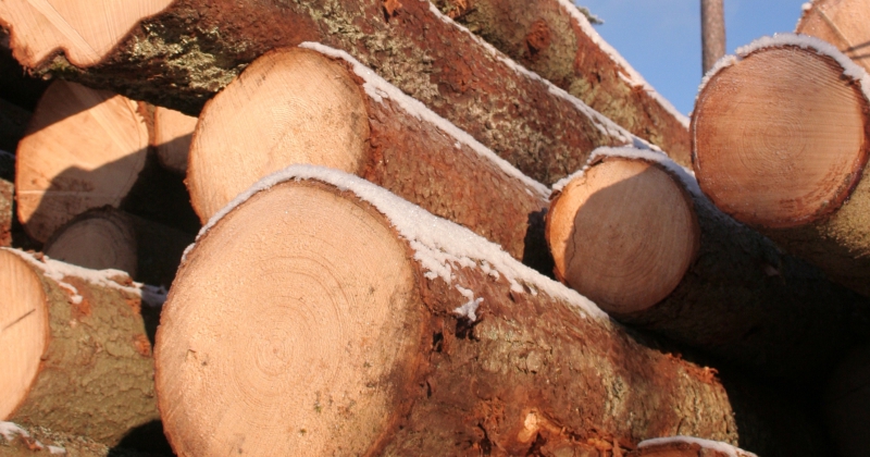 Södra höjer sina grantimmerpriser