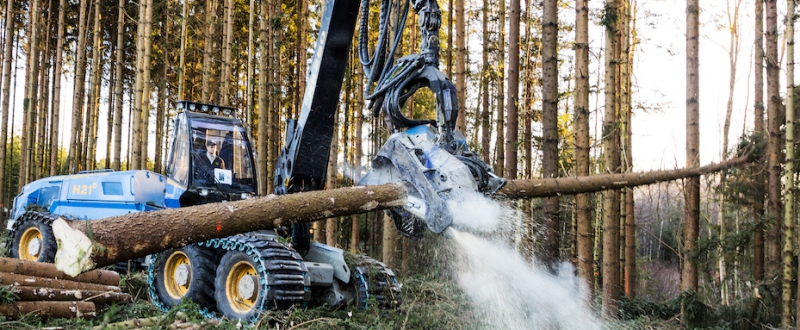 Ring innan du besöker avverkningen