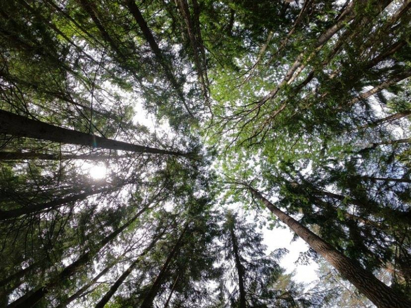 LRF underkänner artskyddsutredningen