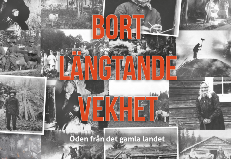 Färgstarka vittnesmål om öden från förr