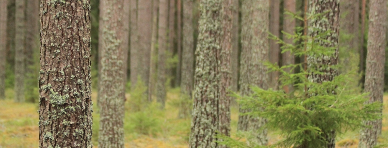 ”Utan lönsamhet, inga möjligheter”