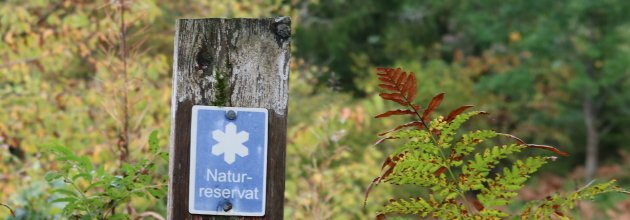 Välkommet förslag om frivilligt skogsskydd