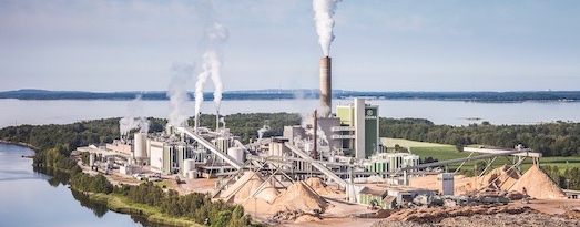 Även poppel blir textil