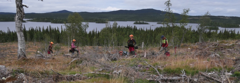 ”Sluta rekrytera från bara halva befolkningen”