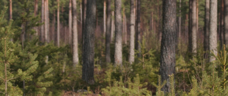 KD: Vi vill förändra EU:s landsbygdspolitik