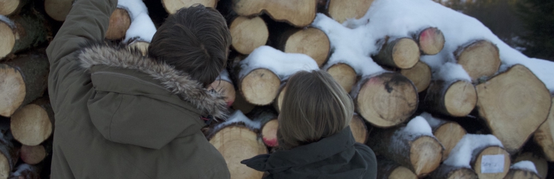 Långsam väg mot jämställdhet