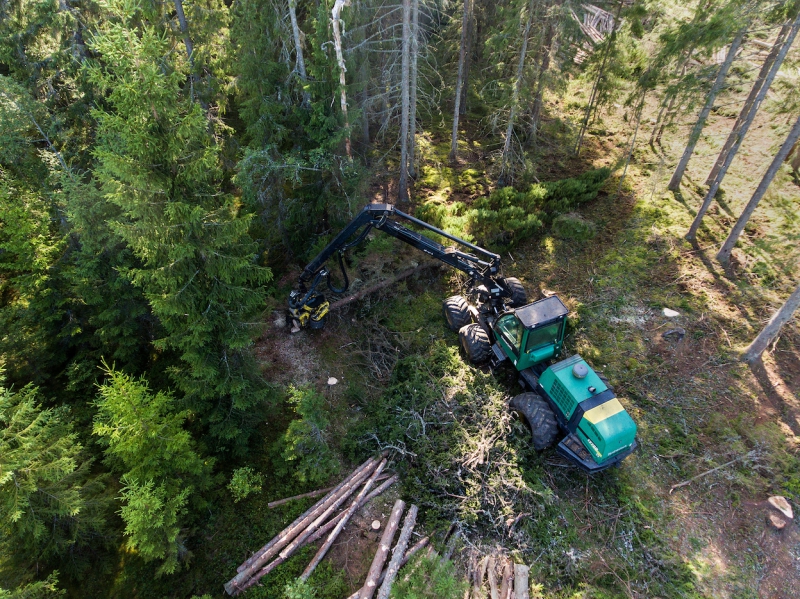 Avverkningsanmäld skog minskar