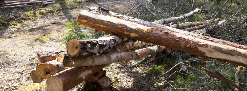 Norra Skog höjer vedpriser