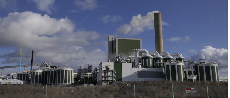 Stora exportintäkter för massa och papper