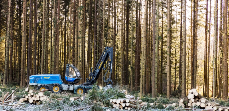 550 forskare förordar brukad skog i brev till EU