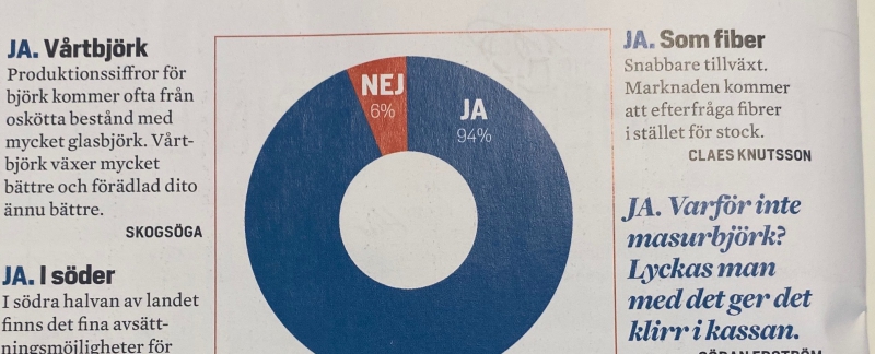 Det är läge att satsa på björk