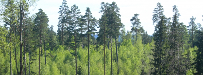 Fras får en fortsättning