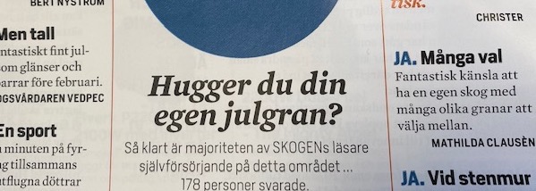Visst hugger vi vår egen gran!